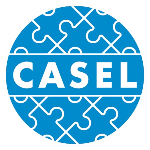 LSI Partners With CASEL