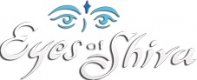 Eyes of Shiva Window and Gutter Cleaning Service