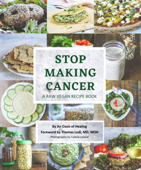 Stop Making Cancer: A Raw Vegan Recipe Book- Hardcover Book