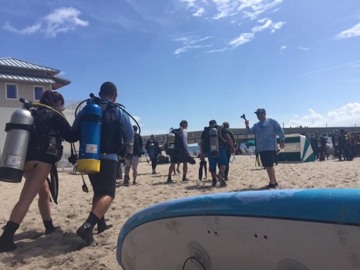 Salty Dog Paddle Has Been Published in the Guinness World Records 2021 for the Largest Underwater Clean-Up