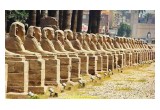 The Avenue of Sphynxes in Luxor, Egypt