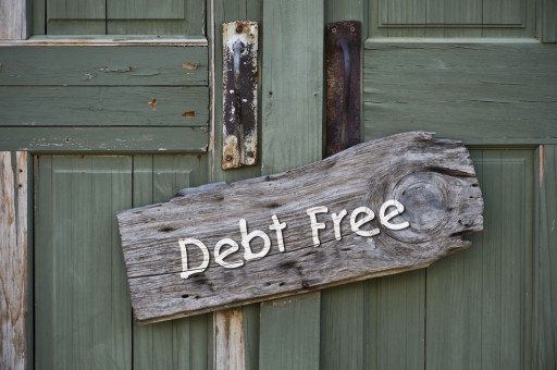 Top 10 Jungle Explains Debt Relief: Your 5 Choices in the Financial Jungle