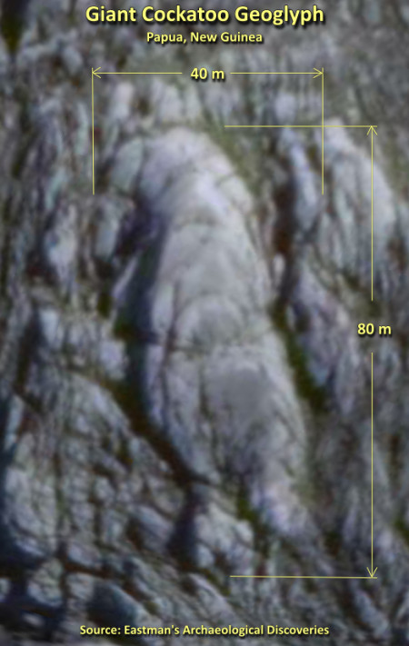 Giant Cockatoo Geoglyph Discovery