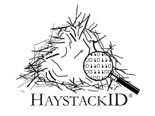 HAYSTACKID Logo