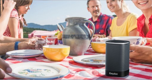 EasyAcc DP100 Bluetooth Speaker Mixes Longest Battery Life and Better Portability With a Room-Filling Sound