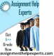 Assignmenthelpexperts.com