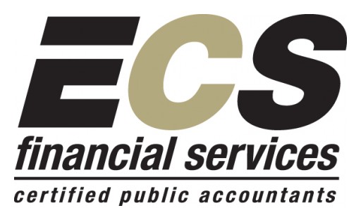 ECS Financial Services' Shareholder Tobey Wilson is a Registered AICPA Peer Reviewer and Team Captain
