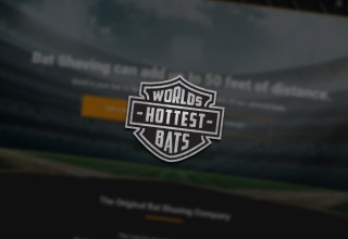 World's Hottest Bats Logo