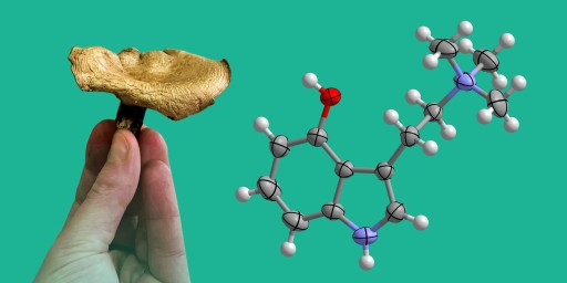 CaaMTech Synthesizes Novel Tryptamine Prophoria™, Amphoria™