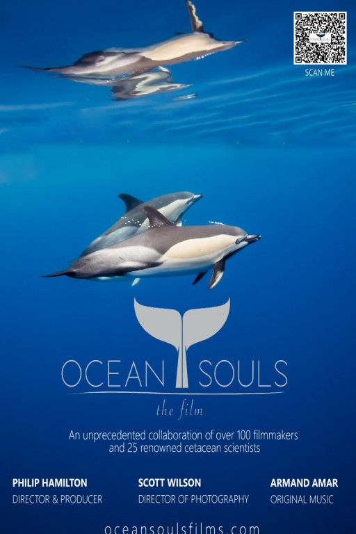 Dive Into the World of Cetaceans and Fall in Love With 'Ocean Souls'