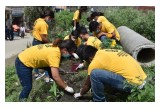 Scientology volunteer ministers cleaning up the area around the sacred river in the center of Kathmandu