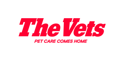 The Vets Holding Inc