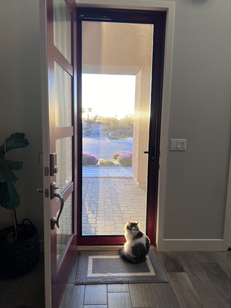 Security Door