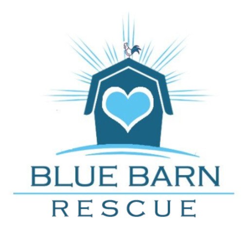 Blue Barn Unveils Awareness Initiative