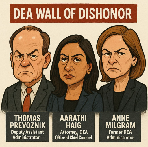 DEA BUSTED!! While Chinese Marijuana Cartels Spread Right Under DEA's Nose, FDA CANNABIS RESEARCH BLOCKED