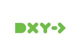 DXY Solutions Logo