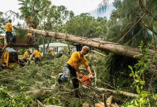 Using backhoes and chainsaws, Volunteer Ministers mean business clearing up fallen timber left by Irma. 