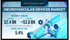 Neurovascular Devices Market Forecasts 2019-2025