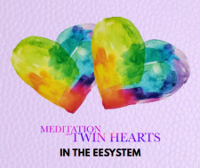 Quantum Healing Room: EVENING Meditation on Twin Hearts