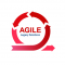 Agile Legacy Solutions