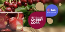 New Zealand Cherry Corp. partners with Techrock