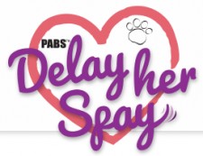 Delay Her Spay Harness & Dog Diapers