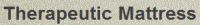 TherapeuticMattress.org