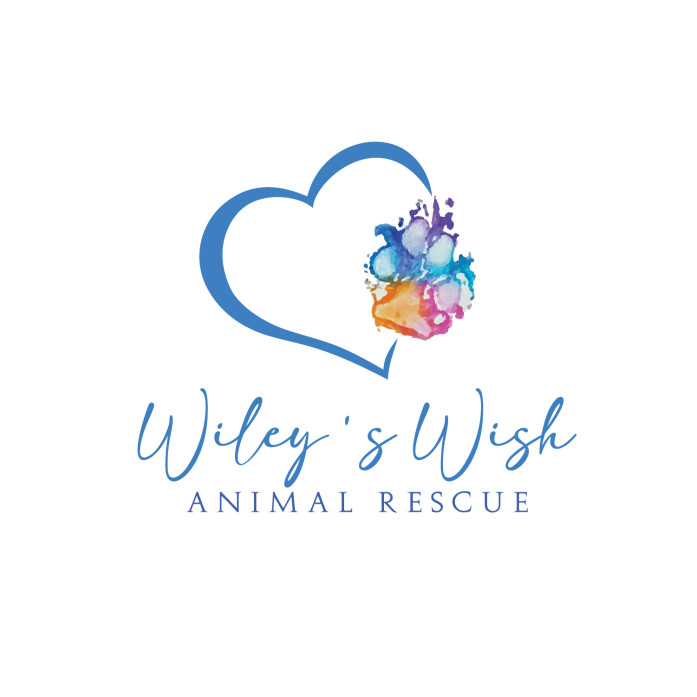 Wiley's Wish Logo