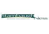 Stambaugh Ness Business Solutions