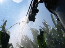 Peragreen microbial defense combats agricultural water system issues