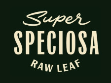Best Kratom of 2025: Super Speciosa