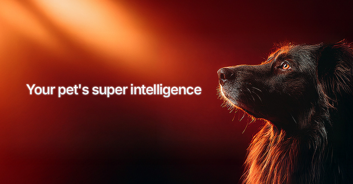 Pluto Pets Launches the First AI-Powered Pet Longevity Platform: Your ...