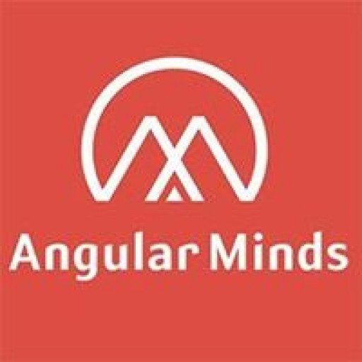 Angular Minds - Top Emerging Tech Company in AngularJS