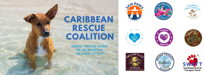 Caribbean Dog Rescue Coalition