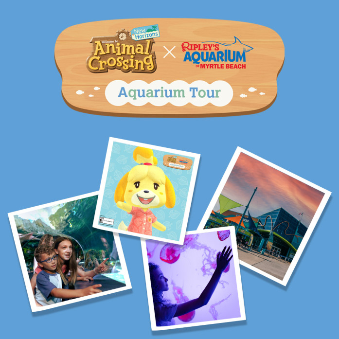 Ripley's Aquarium of Myrtle Beach Kicks Off Animal Crossing: New Horizons Aquarium Tour