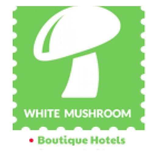 White Mushroom is Offering Premium Hotel Accommodations in Kasauli and Manali