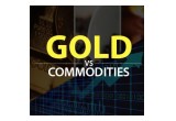 Gold vs Commodities 