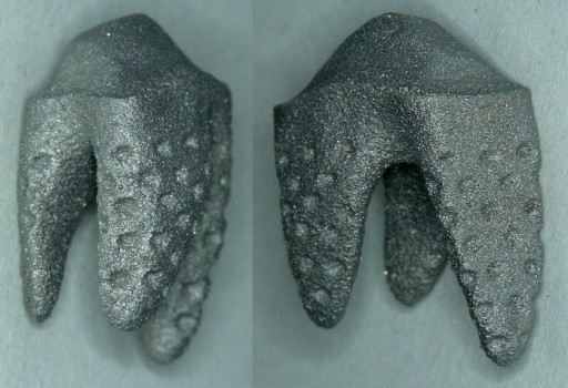 Natural Dental Implants AG Announces 3D Printed REPLICATE™ Tooth at the International Dental Show in Cologne