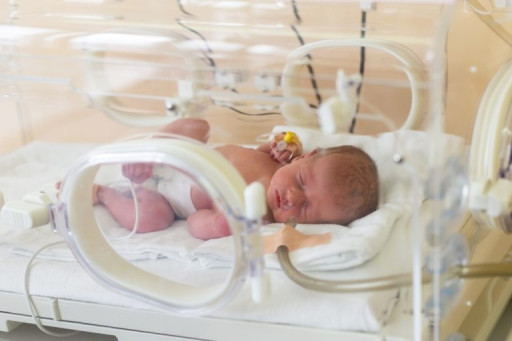 The Summer Baby Boom is Here