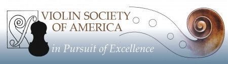 VSA logo