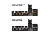 Gigastone Micro SD Flash Memory