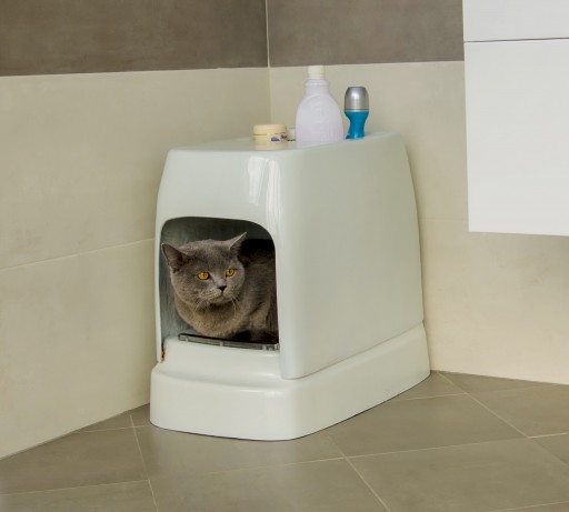 It Doesn't Require Any Refilling: CATOLET - the Unique Automatic Litter Box for Cats and Small Dogs.