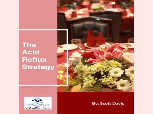 The Acid Reflux Strategy Review 2025: Blue Heron Guide