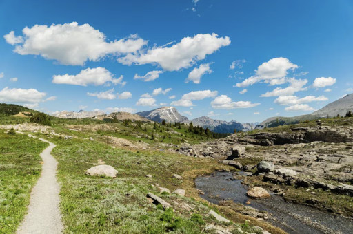 Banff Sunshine Village - Summer Travel: 10 ways to activate some adrenaline-pumping adventure