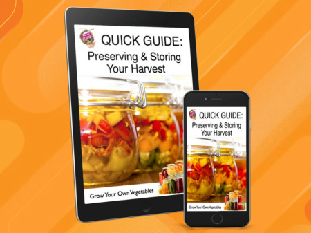 Grow Your Own Vegetables Made Easy