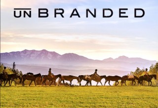 Unbranded has claimed top audience awards 