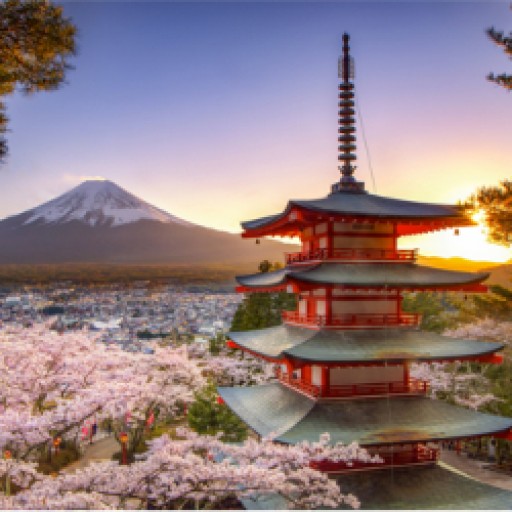 Japan Set for the Final Cherry Blossom of the Heisei Era