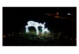 For the holiday season, a magical reindeer and her calf light up a path at Saint Hill. 