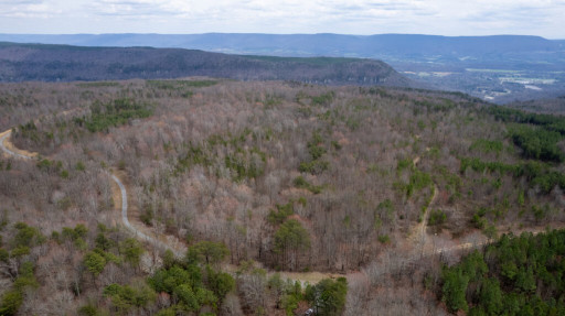 Dempsey Auction Company Presents Massive Tennessee Land Auction Featuring 8,200 +/-  Acres Across Seven Counties