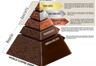 Quality of Coffee Pyramid